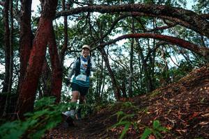 BIB: 
                            <button type="button" onclick="openModal(26346668)" class="btn btn-primary btn-sm float-right btn-popup" data-toggle="modal" data-target=".modal-high-quality">
                        <i class="fas fa-shopping-cart"></i> Add to Cart
                    </button>
                                            <button type="button" onclick="isThisMe(26346668, true)" class="btn btn-success btn-sm float-right btn-popup btn-isme hidden" data-toggle="tooltip" data-placement="bottom" title="นี่คือรูปของคุณใช่ไหม คลิกที่นี่เพื่อเอาเข้าอัลบั้ม">
                        <i class="fas fa-plus"></i> Add to album
                    </button>
                    <button type="button" onclick="isThisMe(26346668, false)" class="btn btn-warning btn-sm float-right btn-popup btn-isnotme hidden">
                        <i class="fas fa-ban"></i> Remove from album
                    </button>